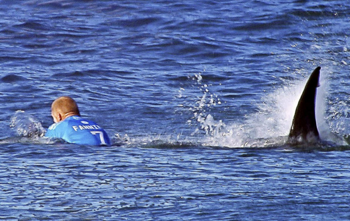 Tourist in Hurghada vom Hai getötet! Er rief noch "Papa, Papa"!