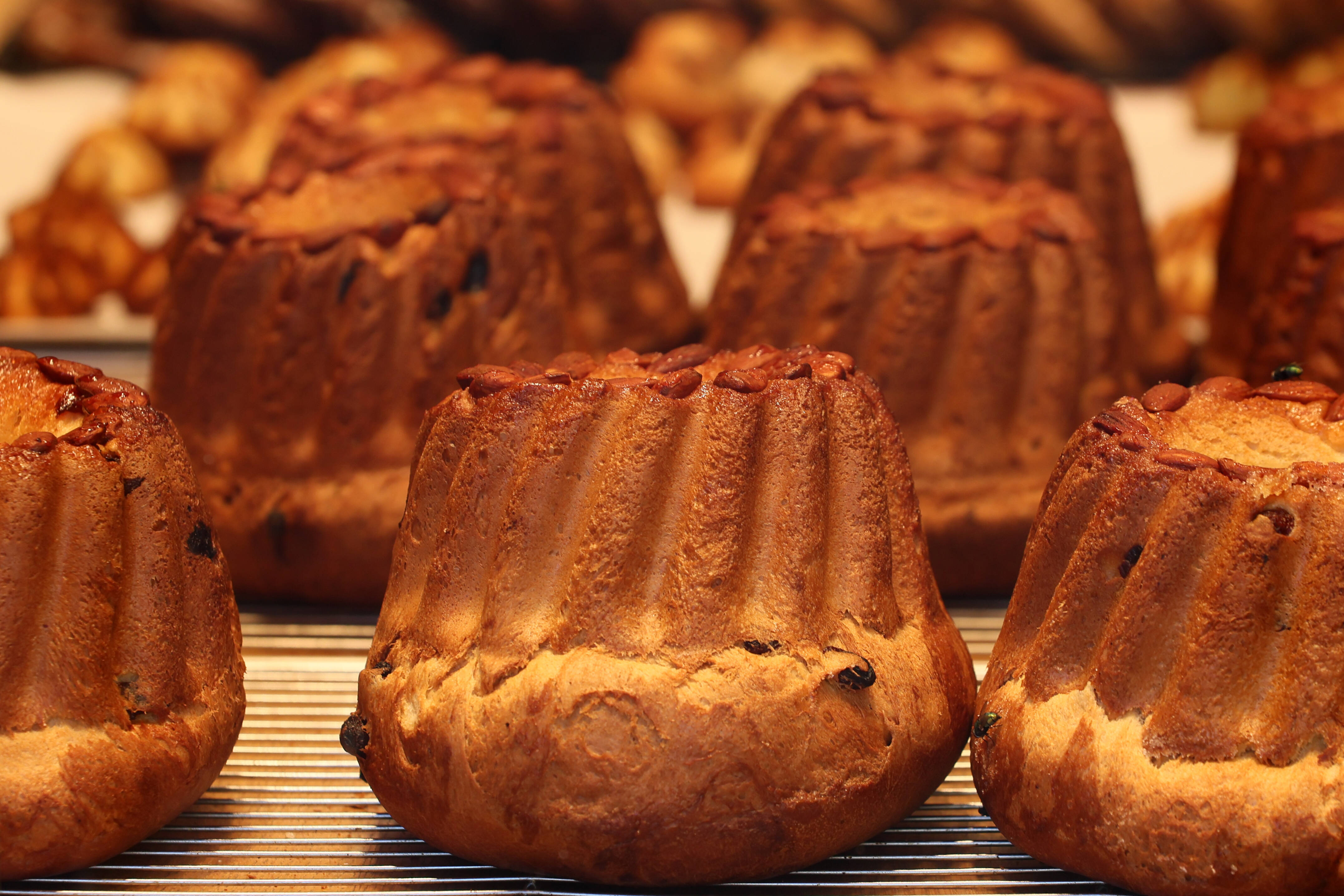 Abnehmen mit Kuchen? Ja! Dieser Kuchen lässt die Pfunde purzeln – Alle sind begeistert von diesem Rezept