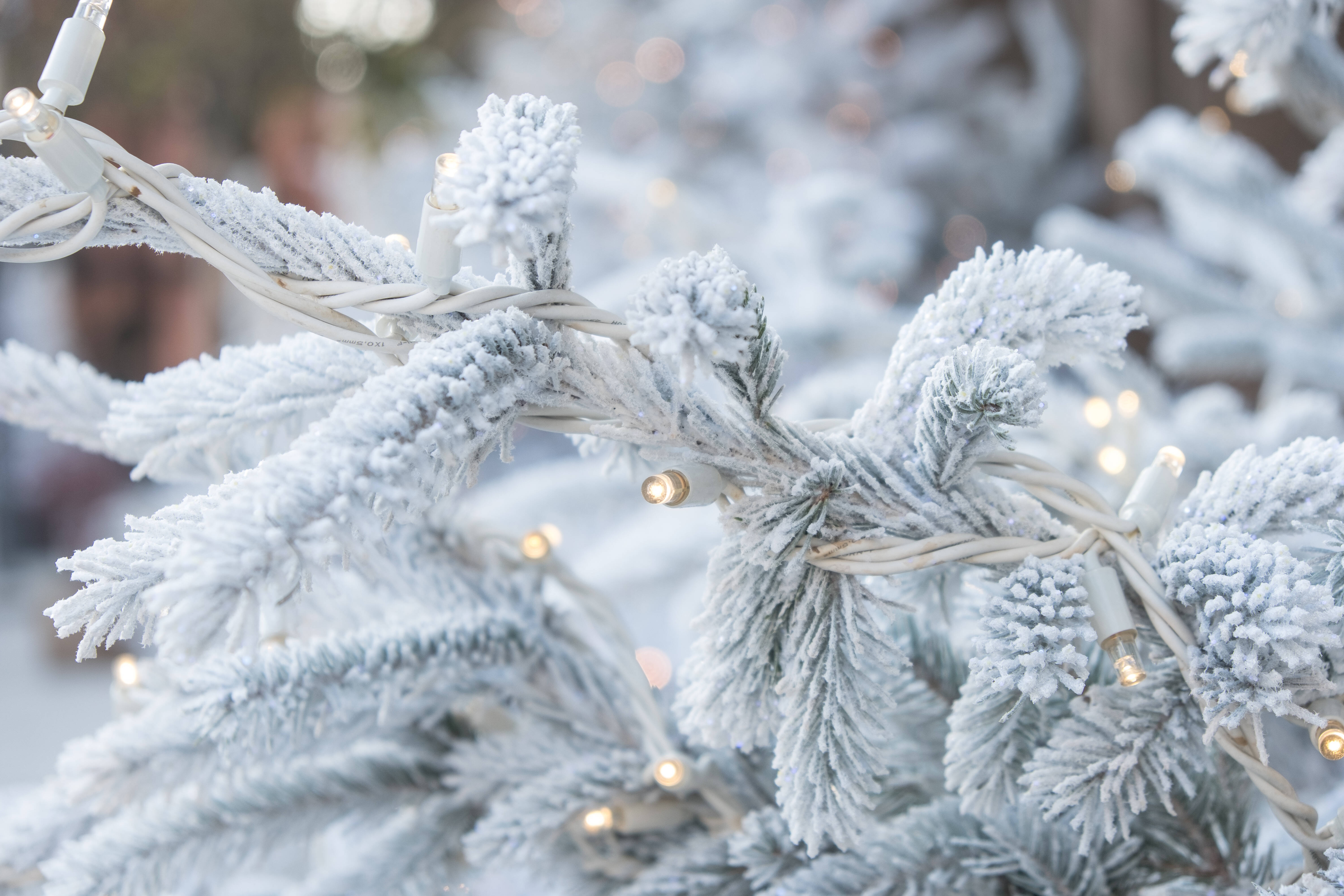 Weiße Weihnachten? Das sagt der Hundertjähriger Wetterkalender - So soll das Wetter an Weihnachten werden