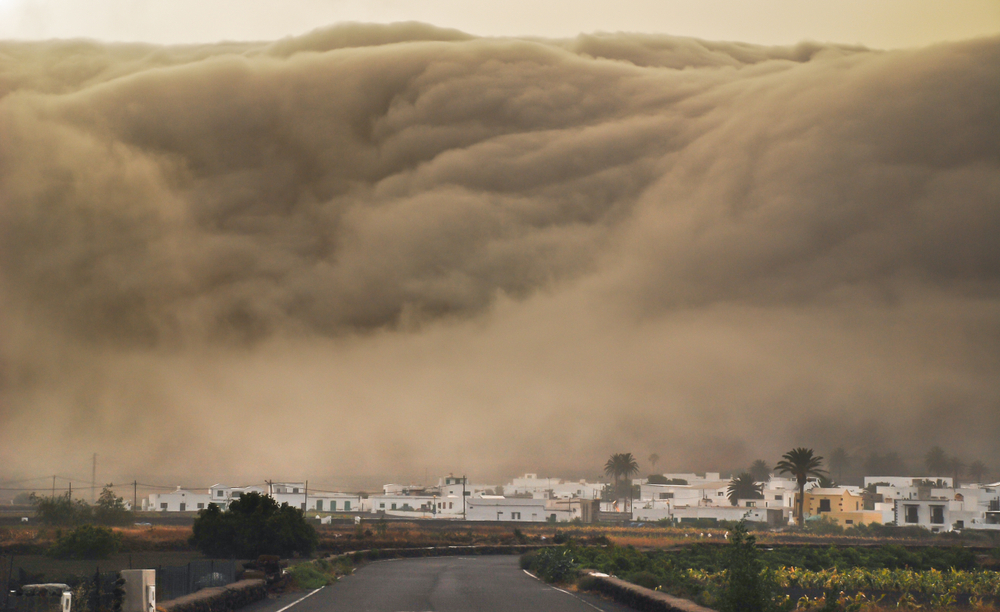 Massive Wave Sweeps Several Tourists into the Sea! Spanish Vacation Island Turns Nightmare